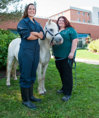 A student and veterinarian stand with a horse outside the AVC
