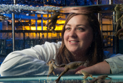 biologist with frog in a tank